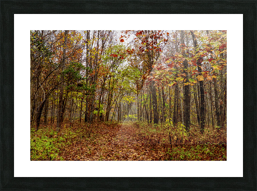 Autumn Bliss Picture Frame print