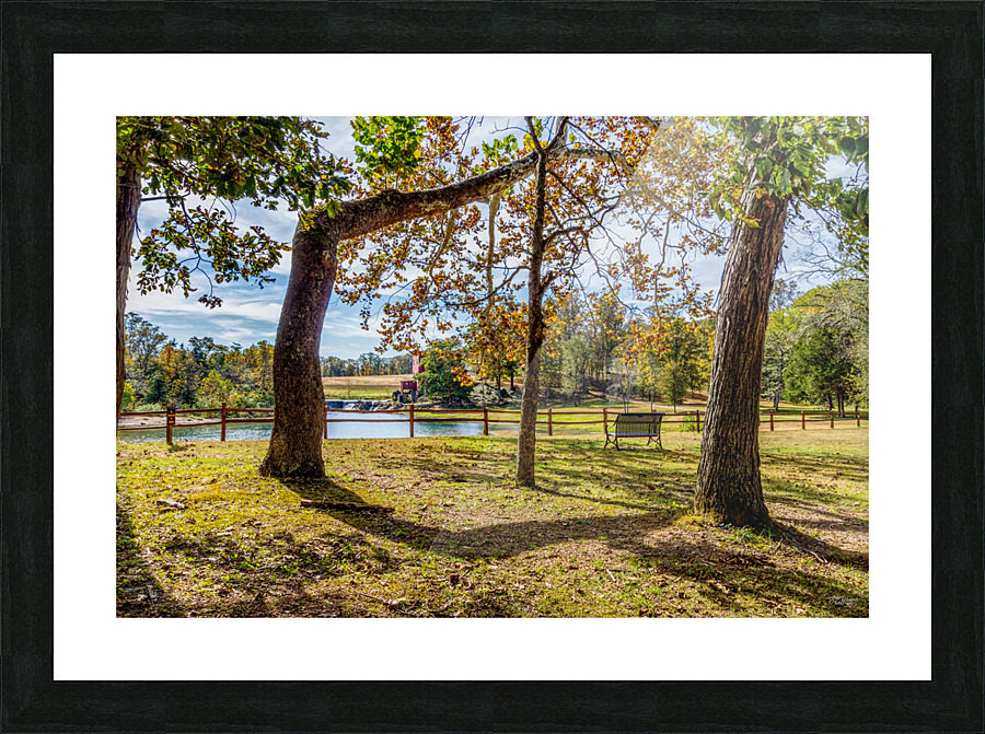 Dillard Mills Cool Tree Picture Frame print