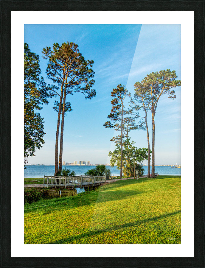 Navarre Beach Through Pine Trees Picture Frame print