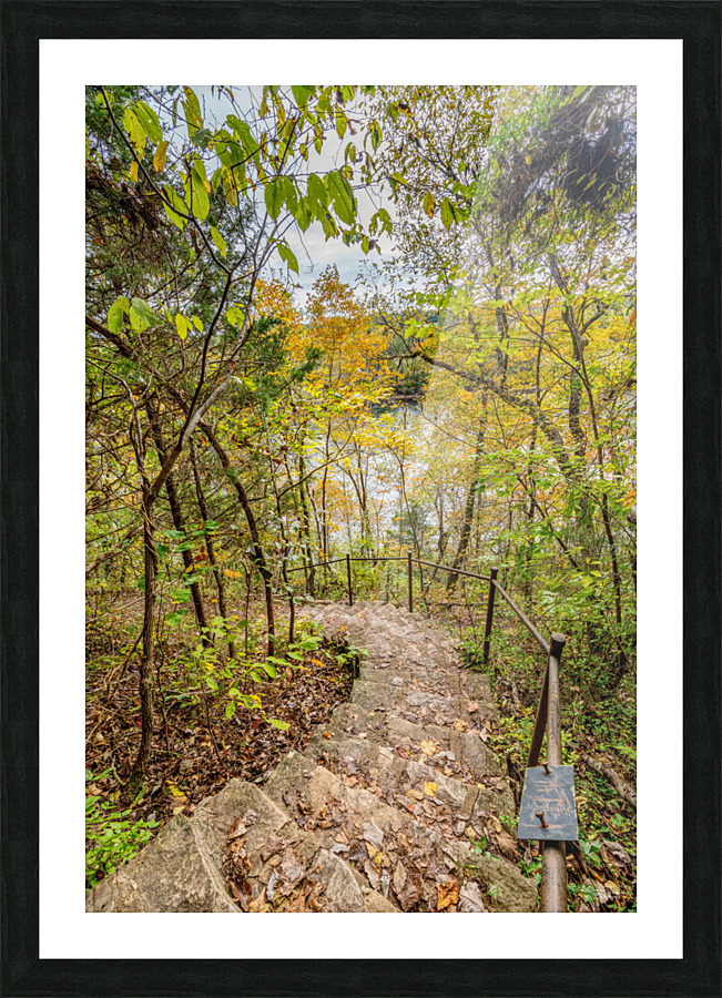 Steps Into Autumn Picture Frame print