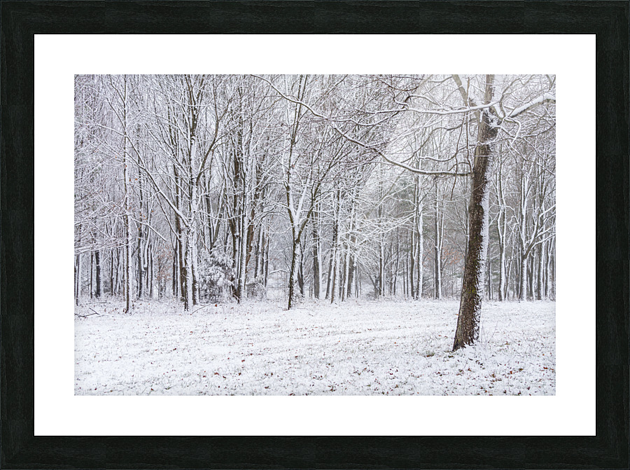 Snowy Forest Picture Frame print