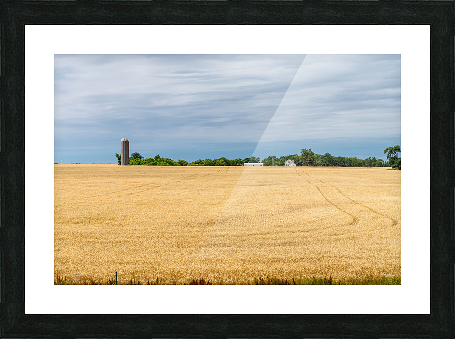 Kansas Wheat Farm Picture Frame print