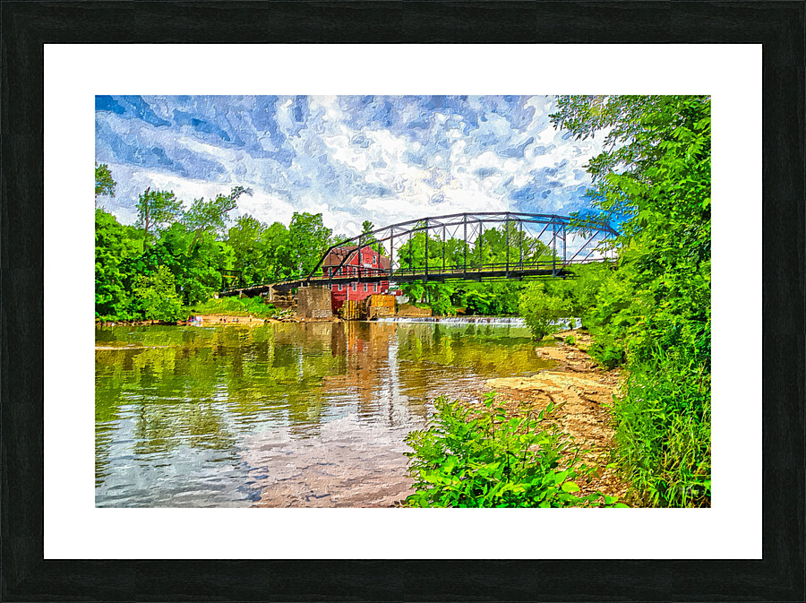 War Eagle Painterly Picture Frame print