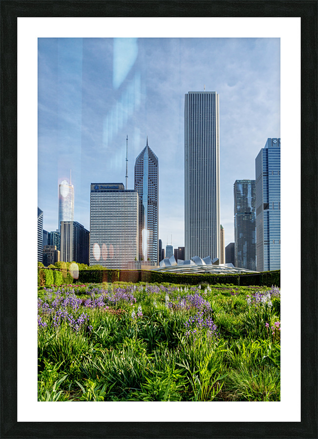Chicago Spring Cityscape Picture Frame print