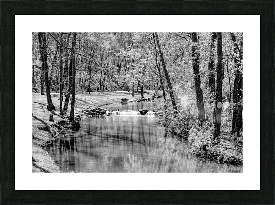 Spring Season Tranquility Grayscale Picture Frame print