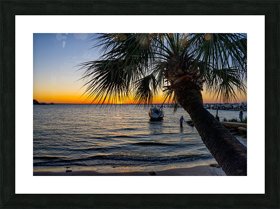 Gulf Breeze Palm Tree And Sailboat Sunset Picture Frame print