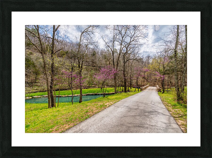 Walking Path On Spring Season Day Picture Frame print