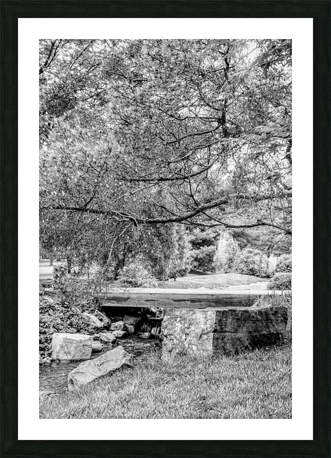 Spring Season Zen Garden Grayscale Picture Frame print