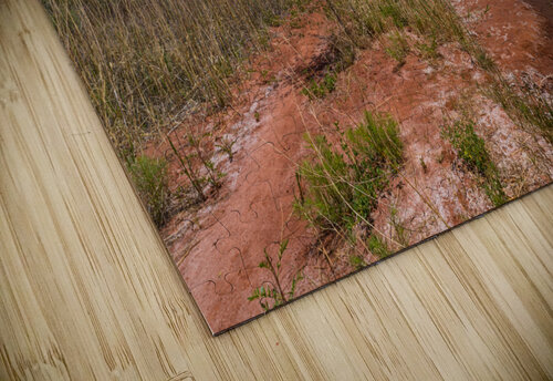 Professor Creek By A Bluff Jennifer White puzzle