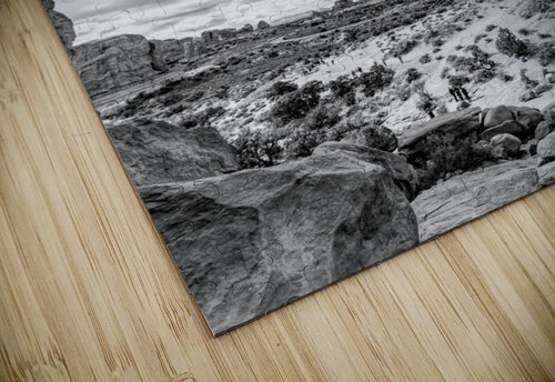 View From Under Double Arch Vertical Grayscale Jennifer White puzzle