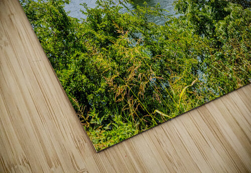 Boats Under Kimberling City Bridge Jennifer White puzzle