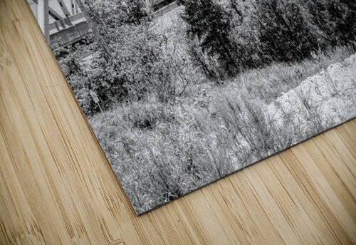 Kimberling City Bridge Missouri Grayscale Jennifer White puzzle
