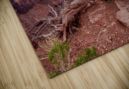 Utah Juniper Root On Canyons Edge Jennifer White puzzle