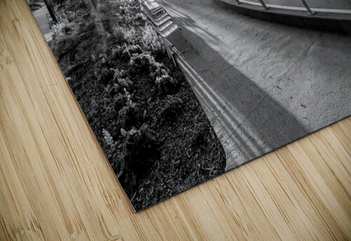 Omaha Skate Park Golden Sun Star Grayscale Jennifer White puzzle