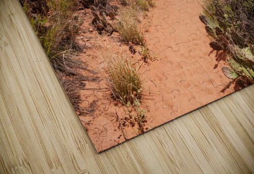 Pathway Through Grand Staircase Escalante Jennifer White puzzle
