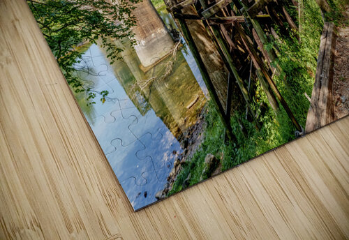 Path Under Old Railroad Bridge Jennifer White puzzle