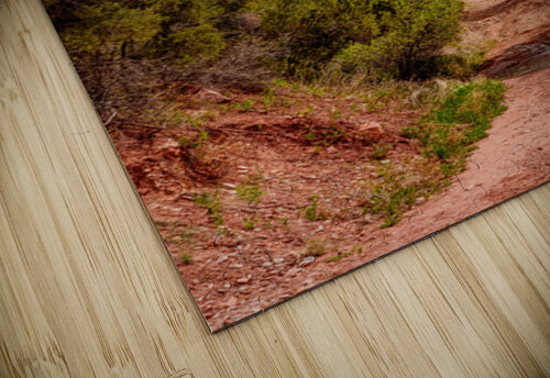 Kanarra Falls Mountain View Jennifer White puzzle
