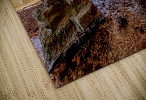 Underneath Rockbridge Mill Jennifer White puzzle