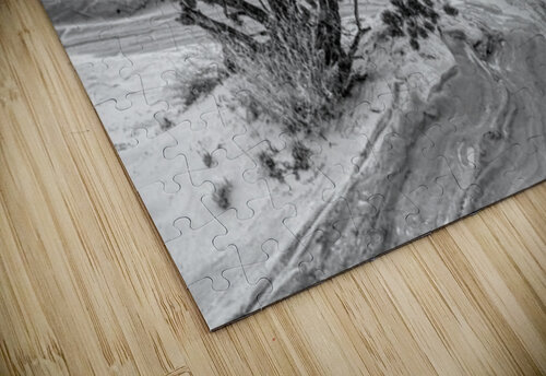 Juniper Growing In White Pocket Grayscale Jennifer White puzzle