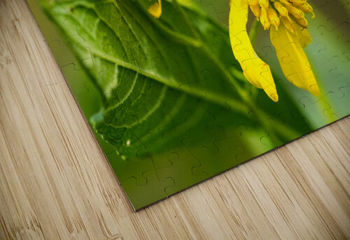 Bumblebee Jennifer White puzzle