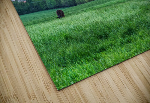 Cattle Field Farm Sunset Jennifer White puzzle