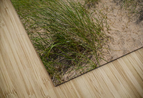 Dune And Oats Jennifer White puzzle