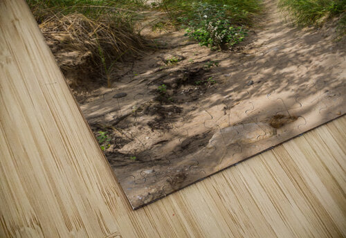 Midwest Paradise Jennifer White puzzle