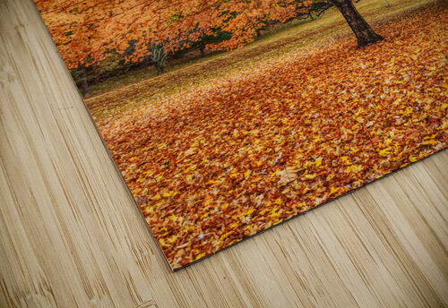 Orange Sugar Maple Jennifer White puzzle