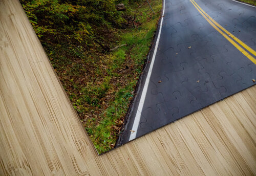 Fall Season Tree Lined Road Jennifer White puzzle
