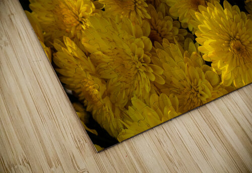 Golden Mums Jennifer White puzzle