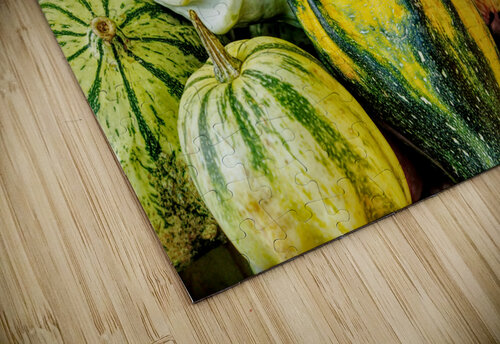 Gourds Galore Jennifer White puzzle