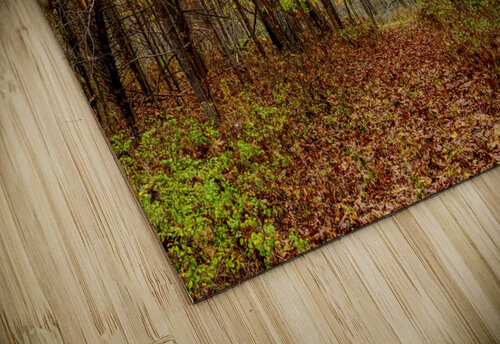 Autumn Bliss Jennifer White puzzle