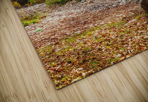 Nature Reaching Out Jennifer White puzzle