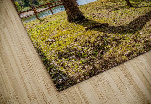 Dillard Mills Cool Tree Jennifer White puzzle