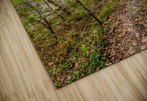 Steep Ozarks Fall Hike Jennifer White puzzle