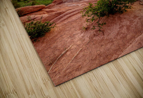 Colorado Pine Tree Sunset Jennifer White puzzle
