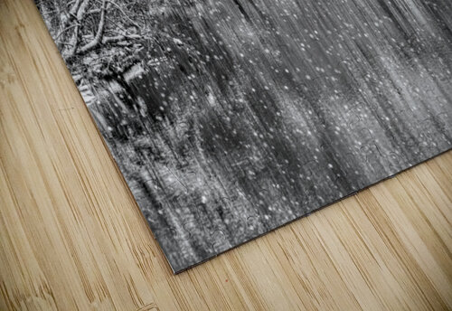 Finley River Snowfall Grayscale Jennifer White puzzle