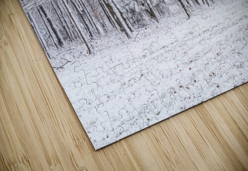 Snowy Forest Jennifer White puzzle