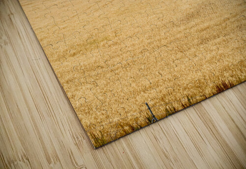 Kansas Wheat Farm Jennifer White puzzle