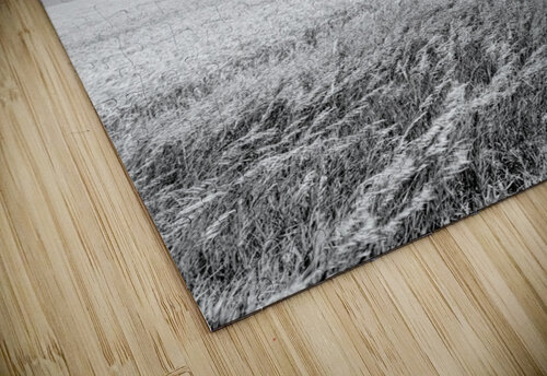 Single Windmill Turbine Grayscale Jennifer White puzzle