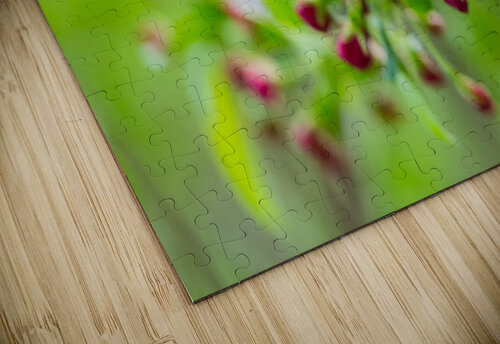 Spring Season Branches Jennifer White puzzle