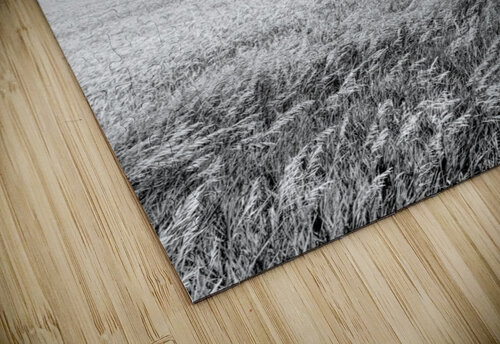Two Windmill Turbines Grayscale Jennifer White puzzle