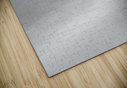 Shell Island Jetty Moving Waves Grayscale  Jennifer White puzzle