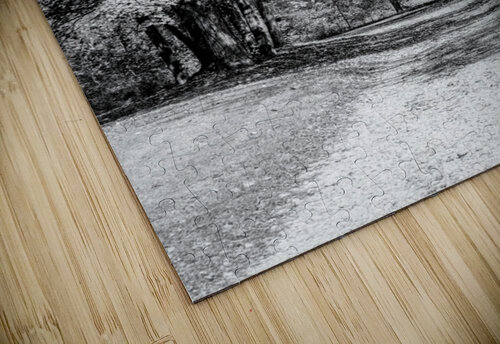 Driveway Under The Maple Tree Grayscale Jennifer White puzzle