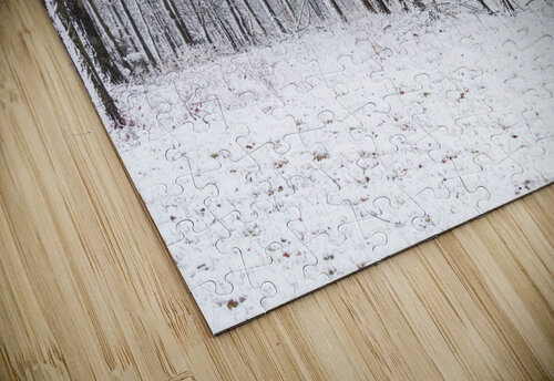 Snow Covered Woods Jennifer White puzzle