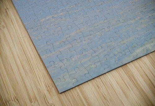 Braving The Waves Jennifer White puzzle