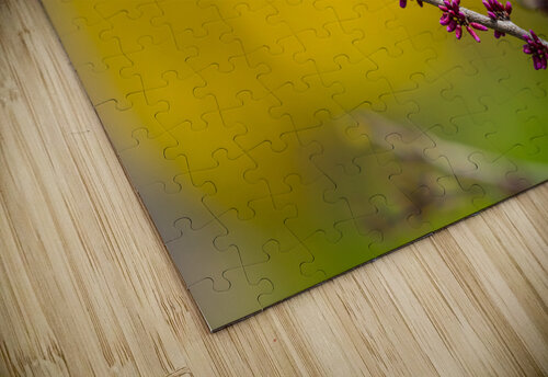 Redbud Tree Flower Buds Jennifer White puzzle