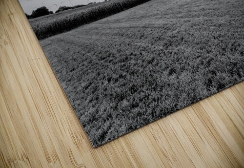Oak Tree Farm Sunset Grayscale Jennifer White puzzle