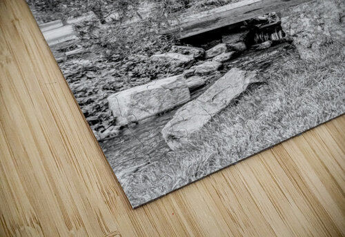 Spring Season Zen Garden Grayscale Jennifer White puzzle