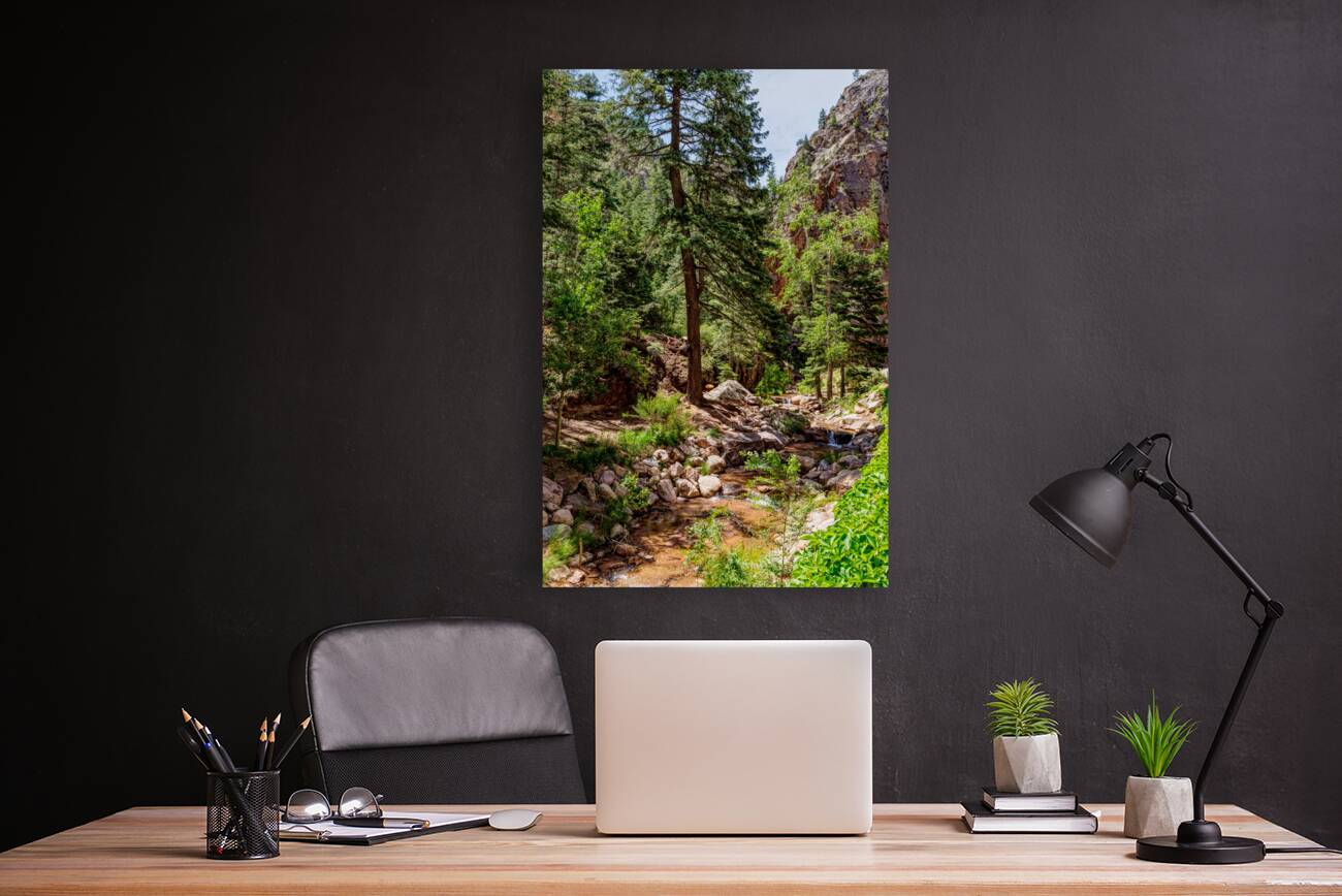 Colorado Forest Creek And Mountains Reproduction